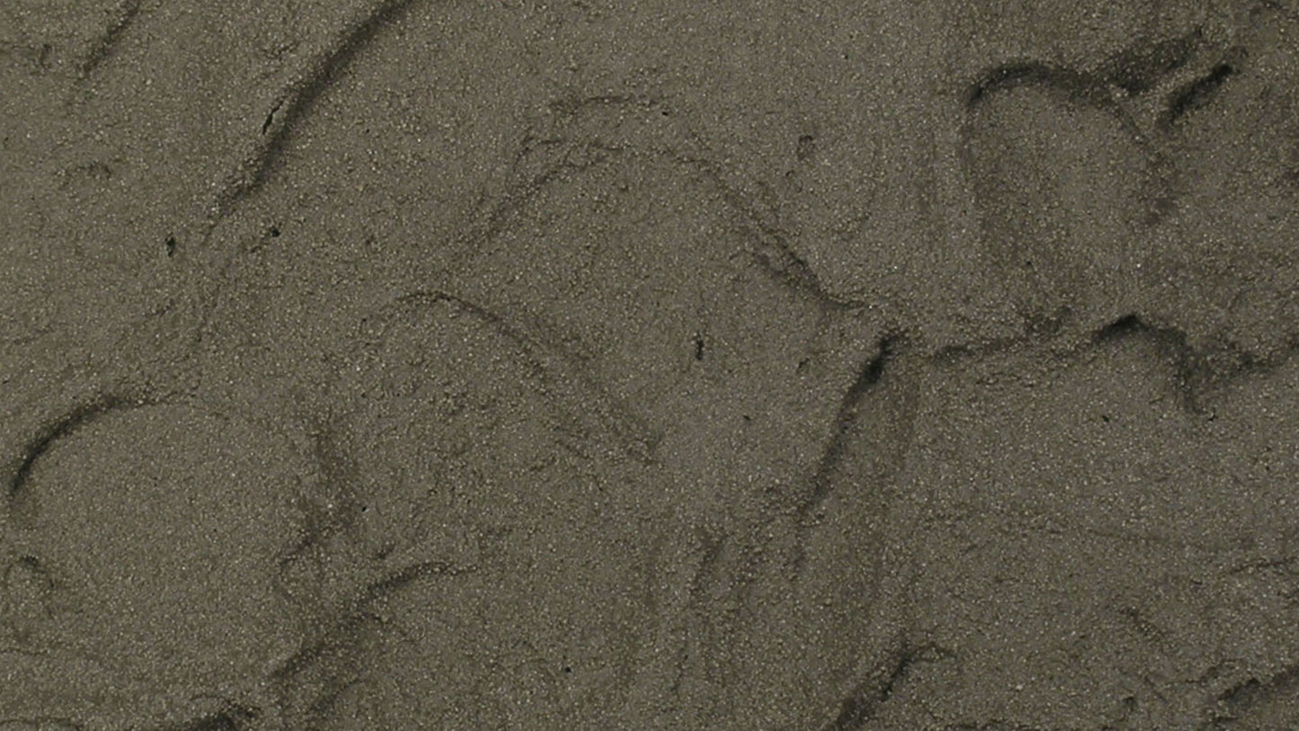 WS Pasta Tierra Obscura