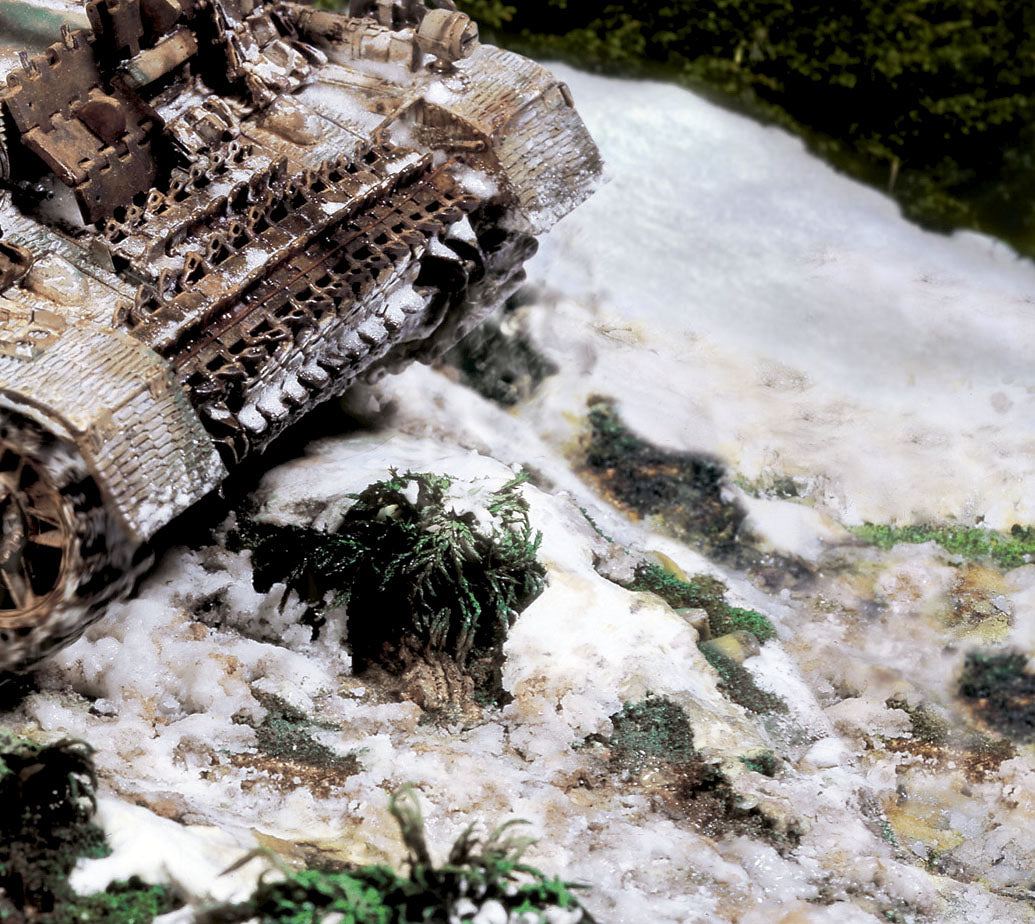 73820 Nieve