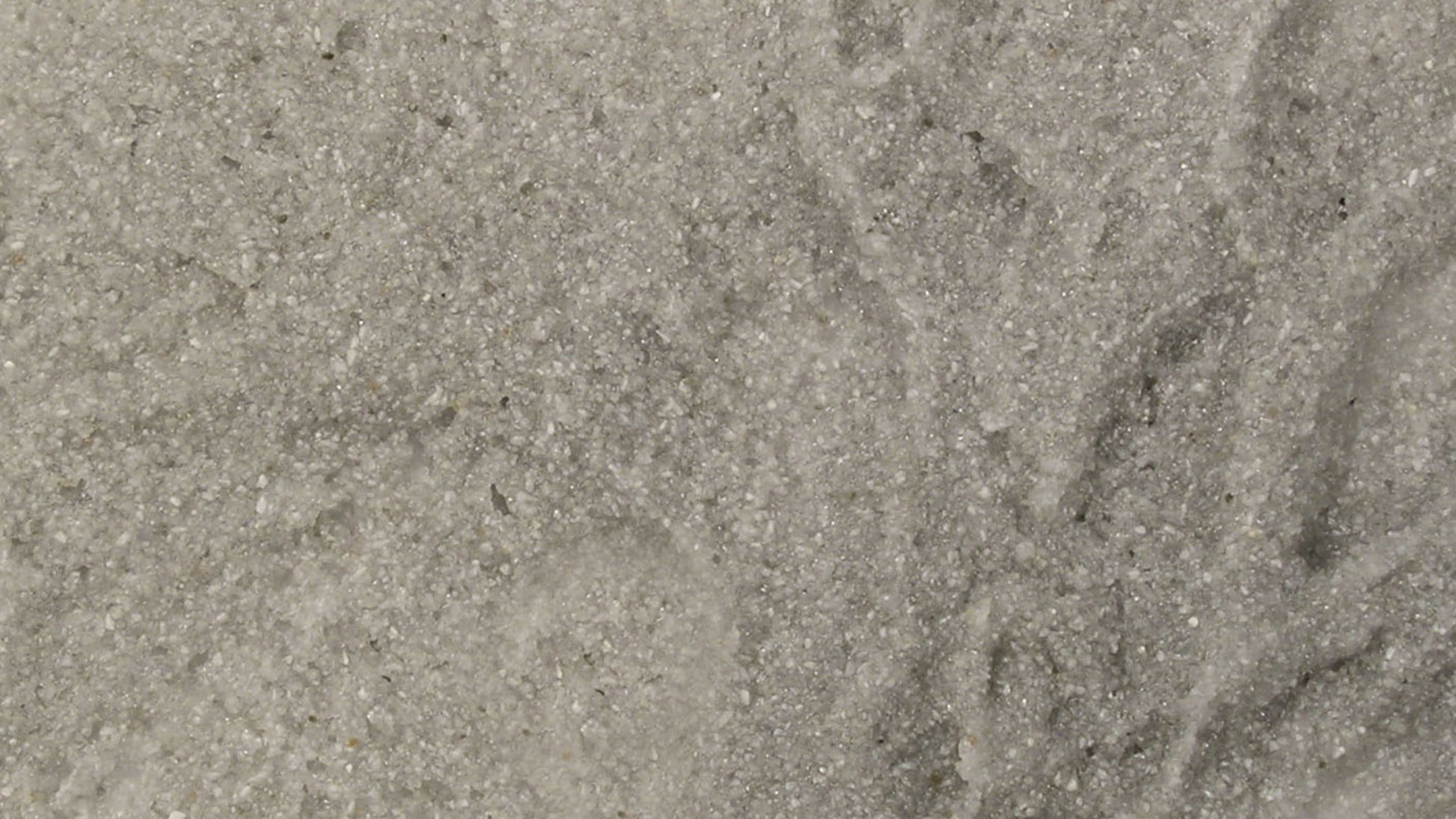 WS Piedra Pómez Gruesa