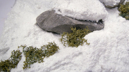 WS Nieve